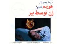 خورده شدن زن توسط ببر | محب نیوز